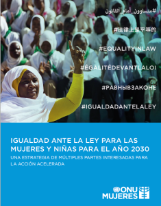 Igualdad ante la ley para las mujeres y niñas para el año 2030: una estrategia de múltiples partes interesadas para la acción acelerada
