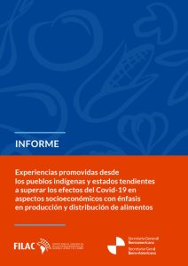 Experiencias promovidas desde los Pueblos Indígenas y estados tendientes a superar los efectos del COVID19